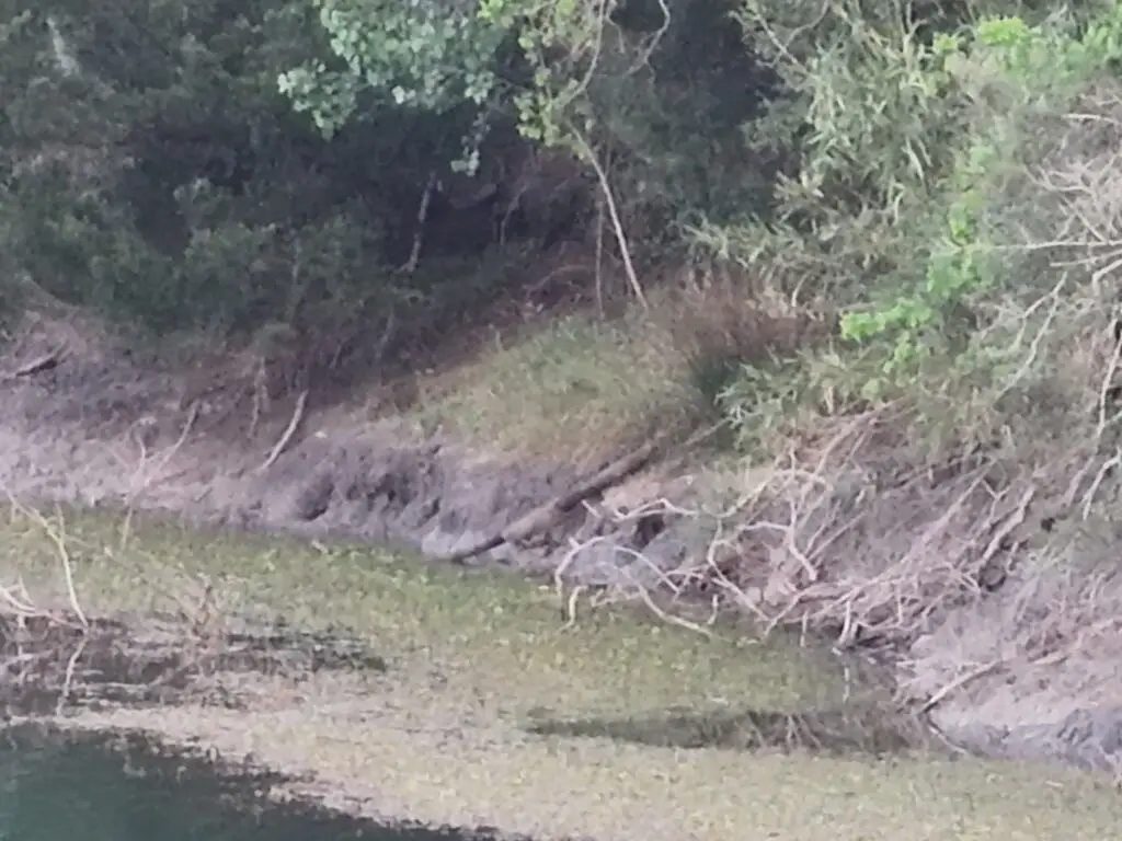 Friendswood Lake